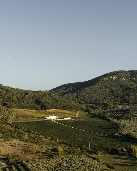 The Moser family and wine: Moser Winery in Caldaro & Tenuta Poggio al Rigoloccio in Tuscany The Moser family and wine: Moser Winery in Caldaro & Tenuta Poggio al Rigoloccio in Tuscany