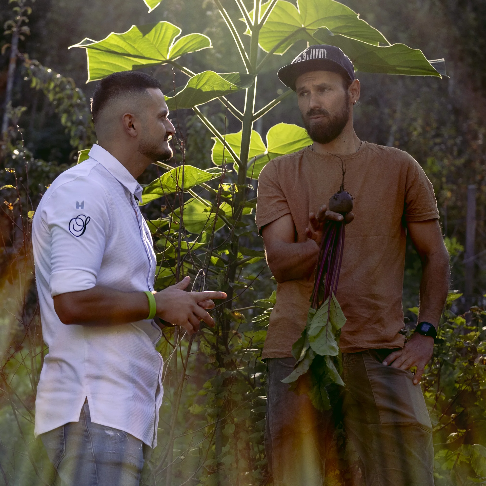 From the garden to the plate: mindful cuisine at SEELEITEN!aCooking for Change: flavour that makes a difference From the garden to the plate: mindful cuisine at SEELEITEN!aCooking for Change: flavour that makes a difference