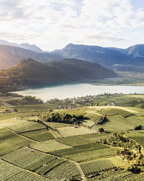 Drohnenaufnahme Kalterer See hinter Wellnesshotel Südtirol