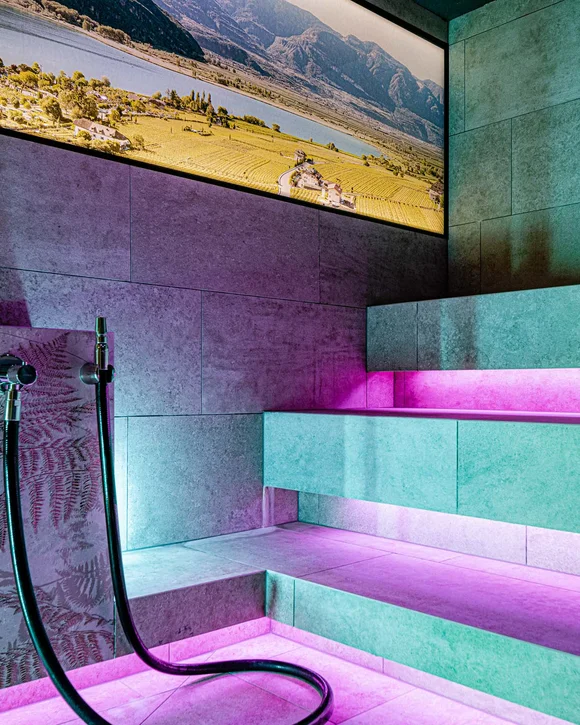 Cercate una camera con sauna inclusa? Cercate una camera con sauna inclusa?