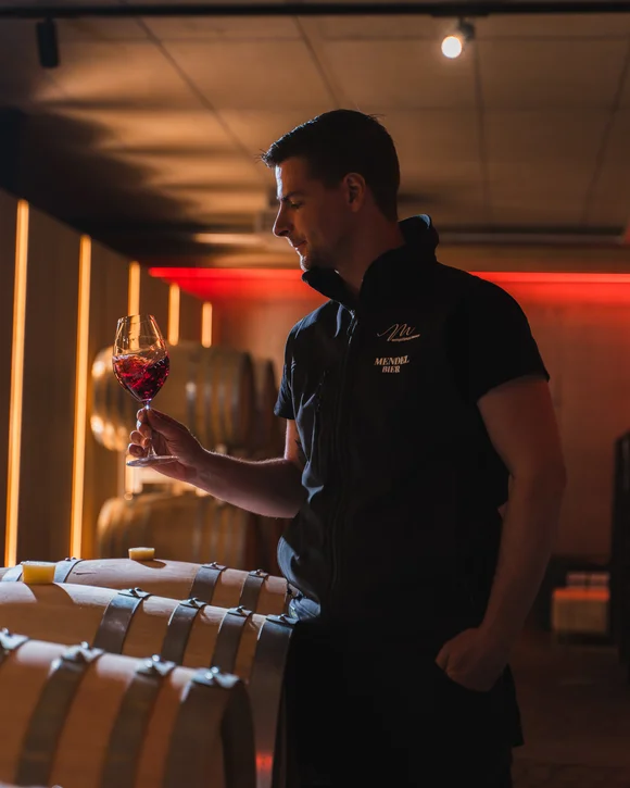 Wine experiences on your lake holidays in South Tyrol