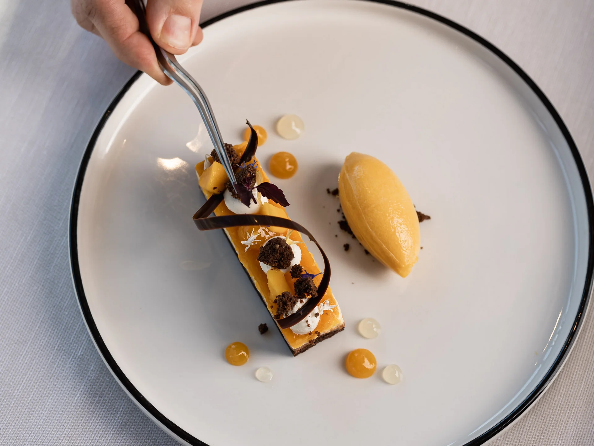 Hotel Olympia 2026 Südtirol & Val di Fiemme