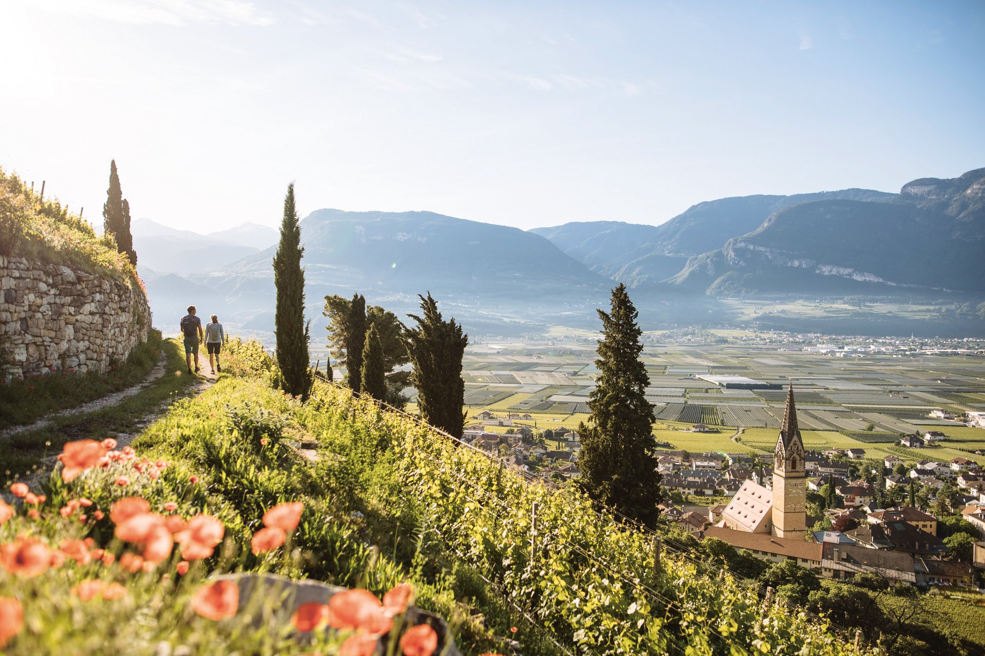 SEELEITEN, South Tyrol: your vineyard hotel in Italy