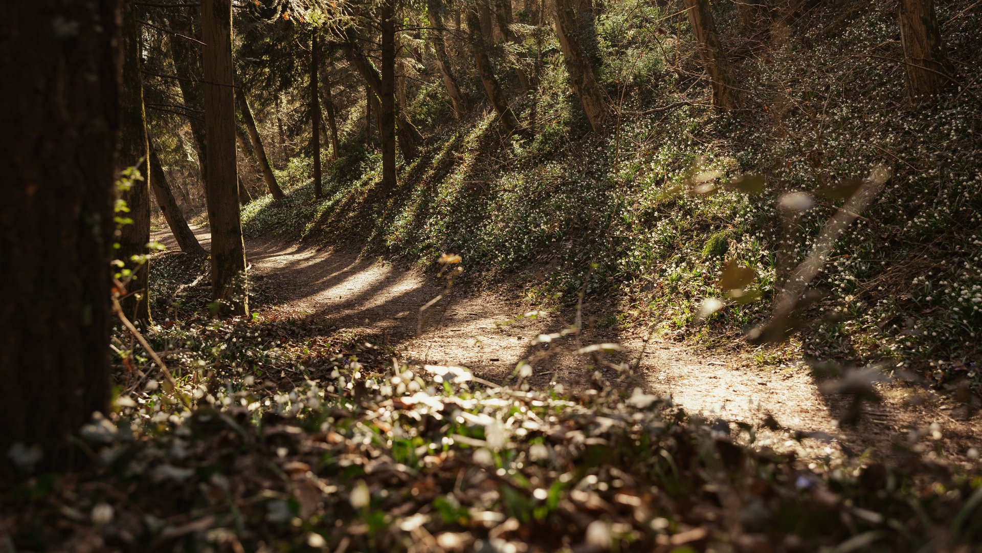 Wandern in Kaltern in Südtirols Süden