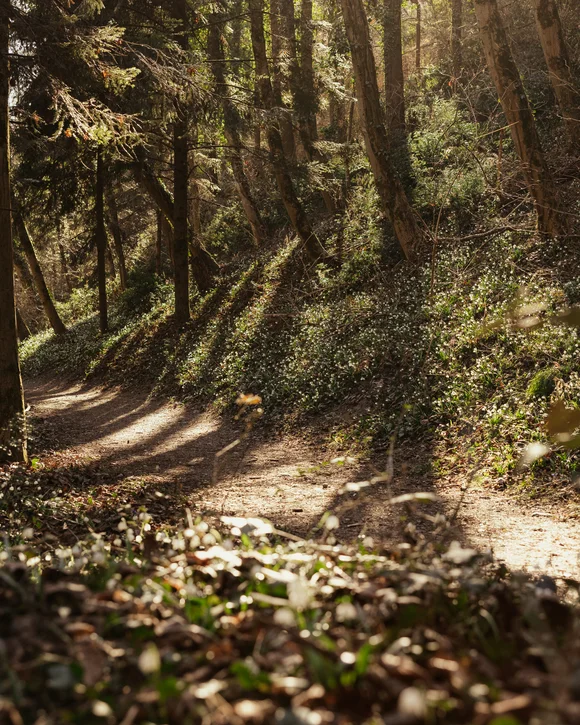 SEELEITEN Lake Spa Hotel: Ihr Wellnesshotel in Südtirol