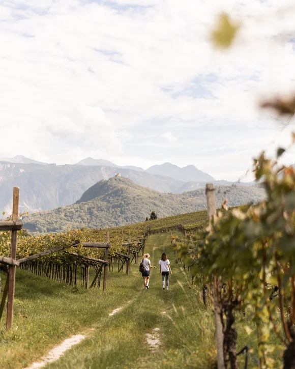 Sporthotel Südtirol: Aktivurlaub im SEELEITEN Kalterer See Sporthotel Südtirol: Aktivurlaub im SEELEITEN Kalterer See