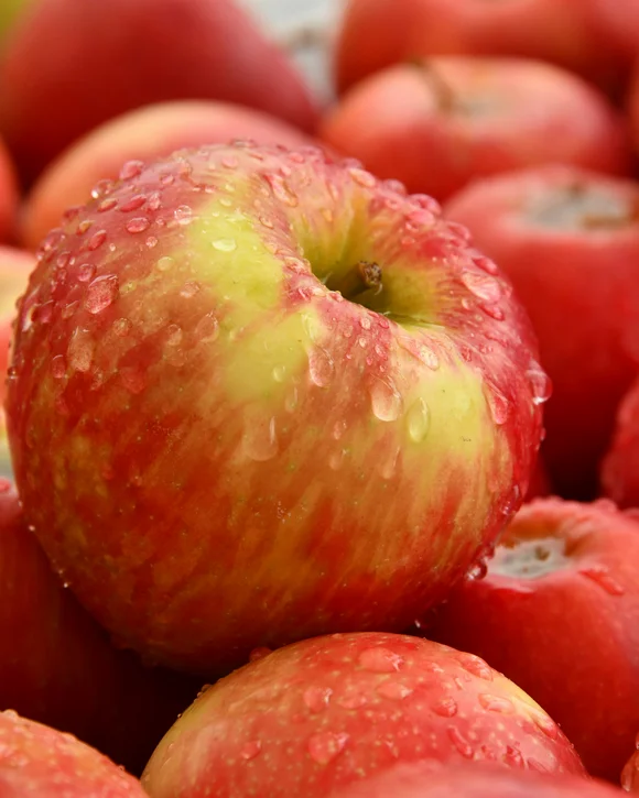 SEELEITEN Lake Spa Hotel: Ihr Wellnesshotel in Südtirol