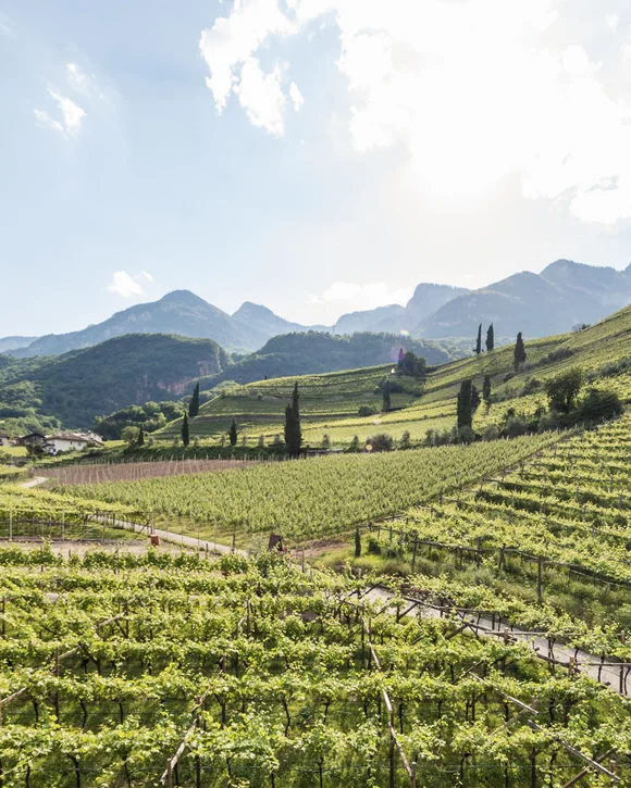 Your hotel by Lake Caldaro, Italy Your hotel by Lake Caldaro, Italy