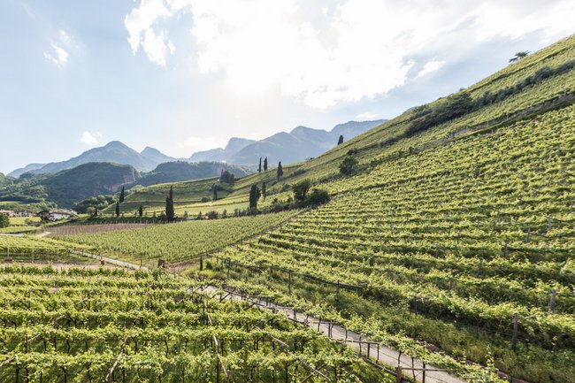 Urlaub im Hotel in Südtirol am See